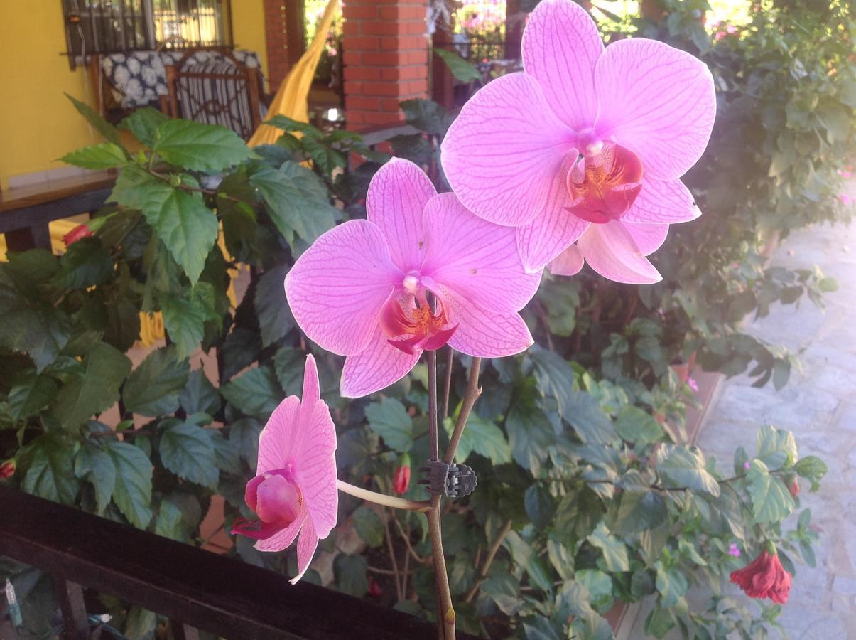 Casa De Los Suenos B&B Coronado Panama Playa Coronado Εξωτερικό φωτογραφία