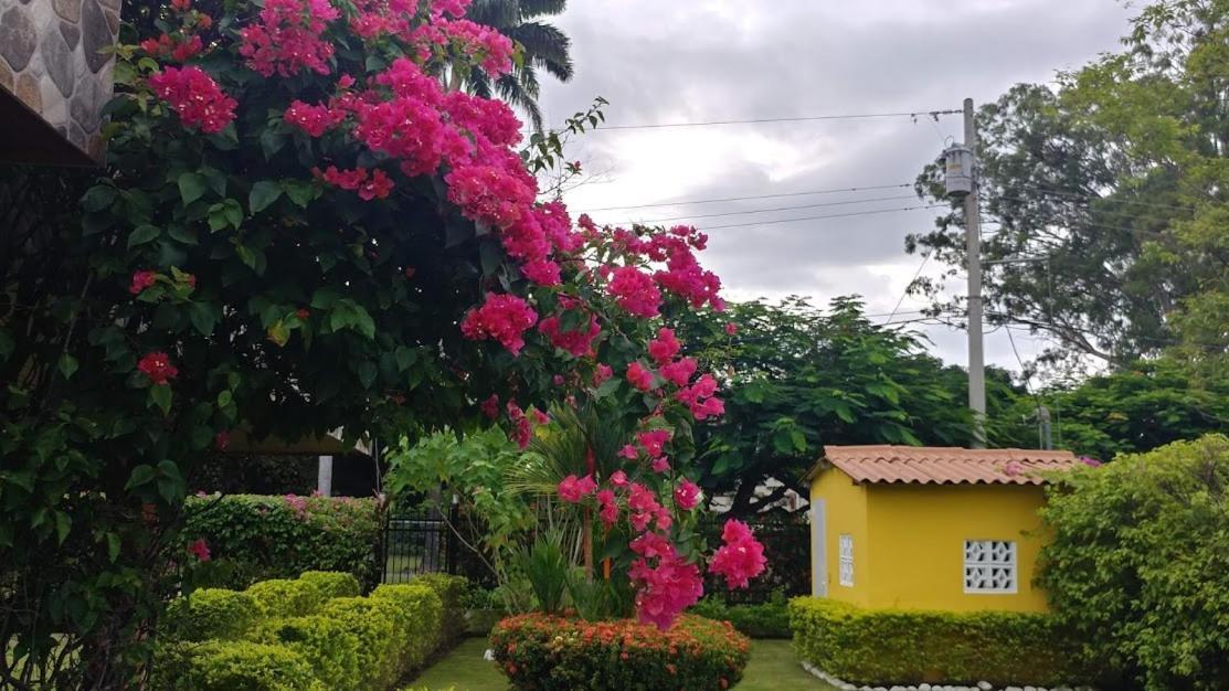 Casa De Los Suenos B&B Coronado Panama Playa Coronado Εξωτερικό φωτογραφία